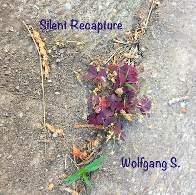 CD-Cover Silent Recapture